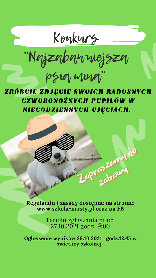 Konkurs “Najzabawniejsza psia mina”