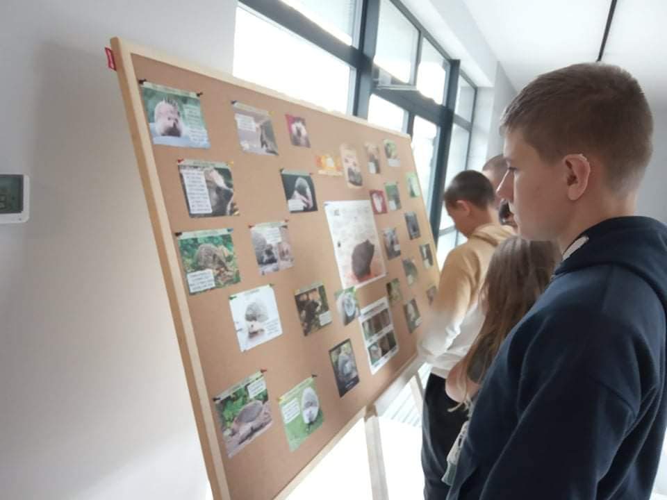 10 listopada – Międzynarodowy Dzień Jeża