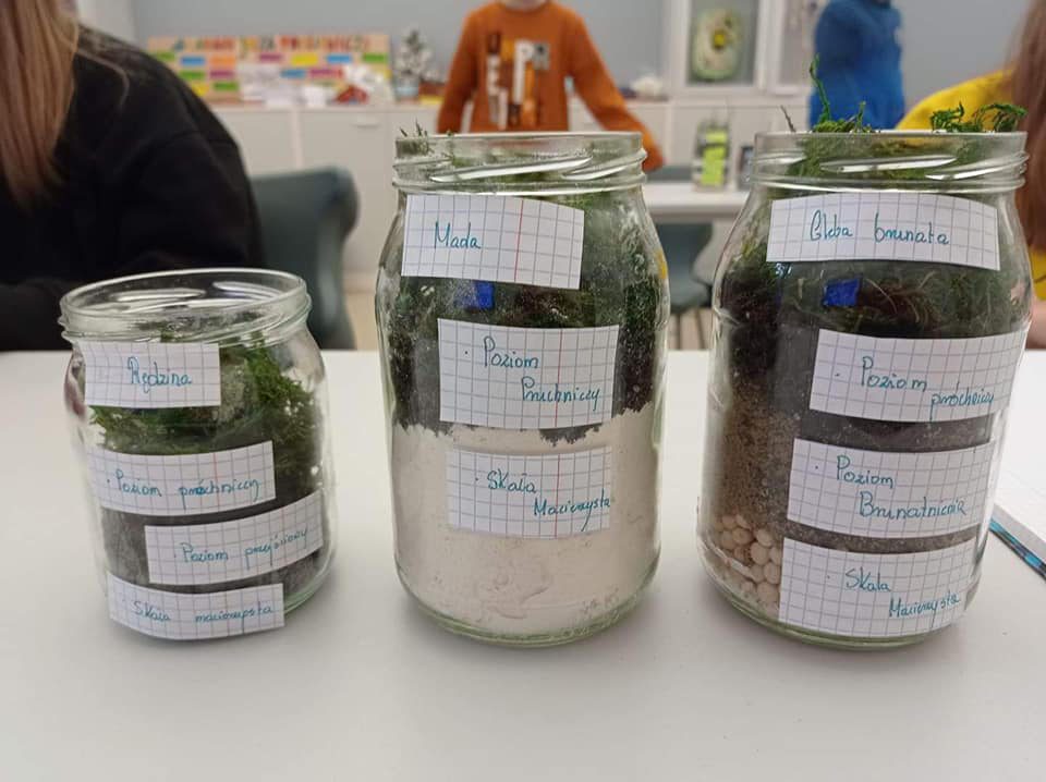 Kreatywna lekcja biologii w kl. VII