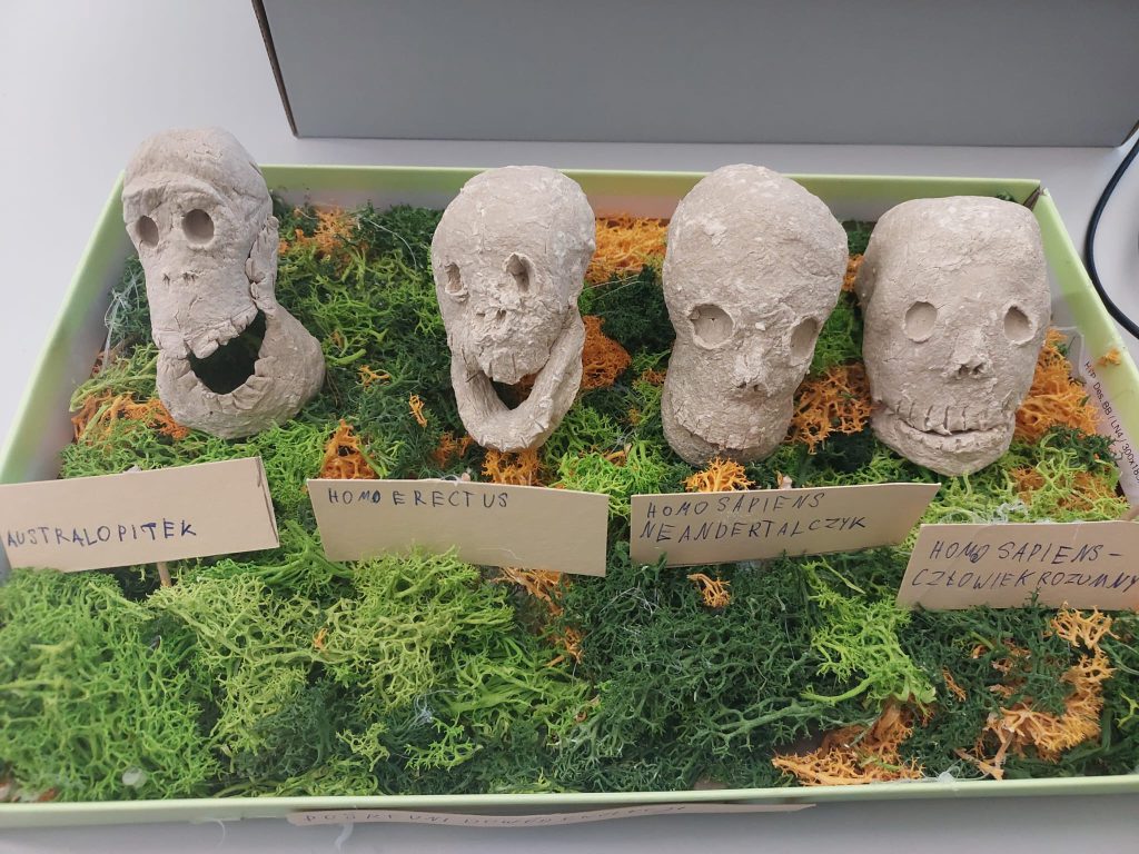 Lekcja biologii