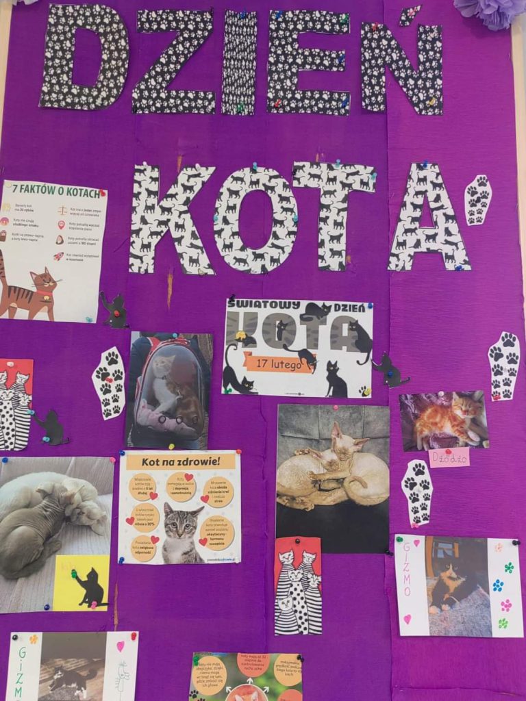 Światowy Dzień Kota